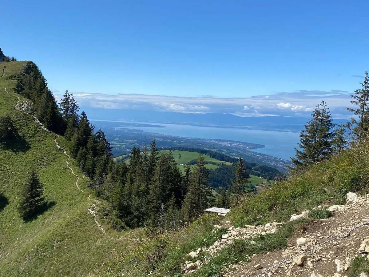B&B Hotel Evian Publier